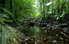 GPS навигатор ввел в заблуждение туристов в лесах Квинсленда